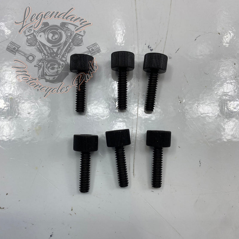 Screw OEM 2806