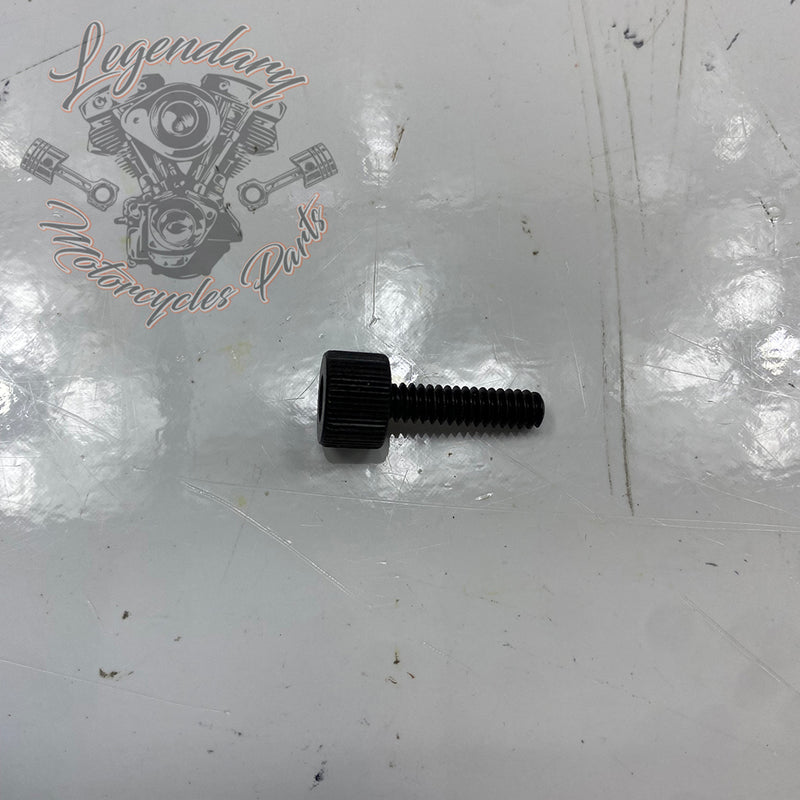 Screw OEM 2806