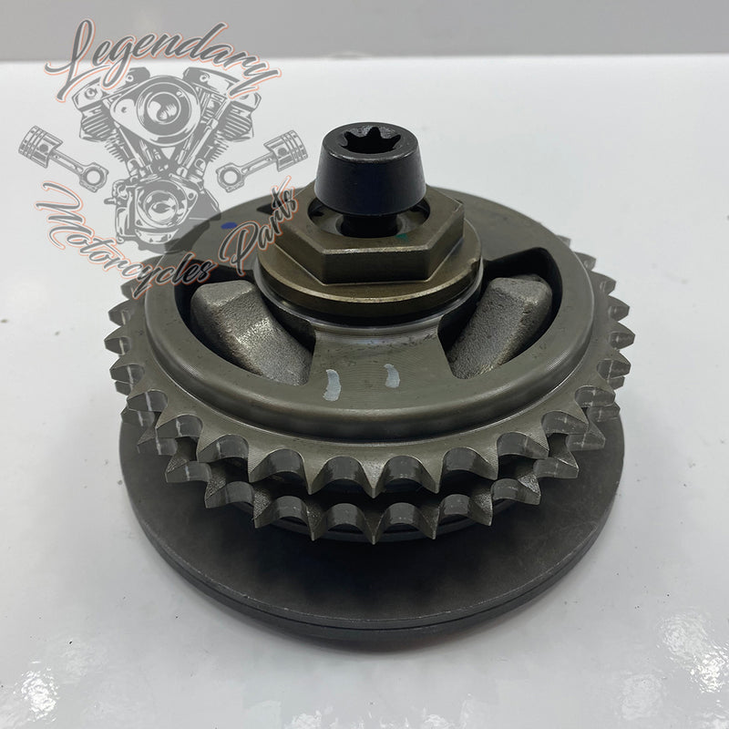 Compensating Sprocket Kit OEM 40100076