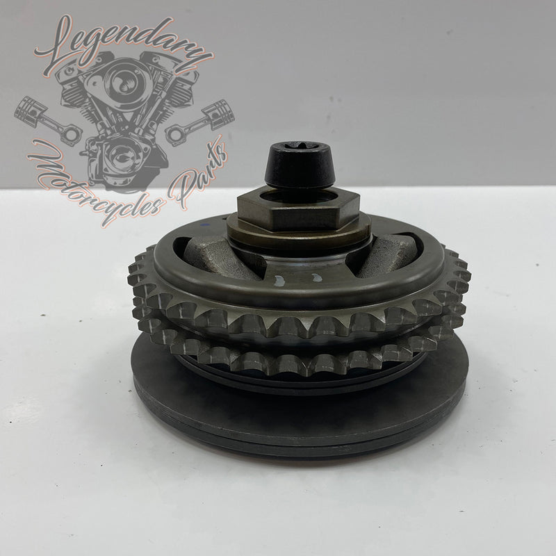 Compensating Sprocket Kit OEM 40100076