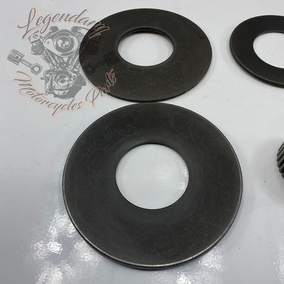 Compensating Sprocket Kit OEM 40100076