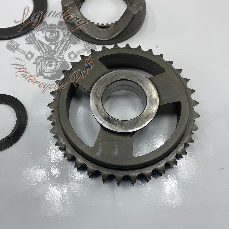 Compensating Sprocket Kit OEM 40100076