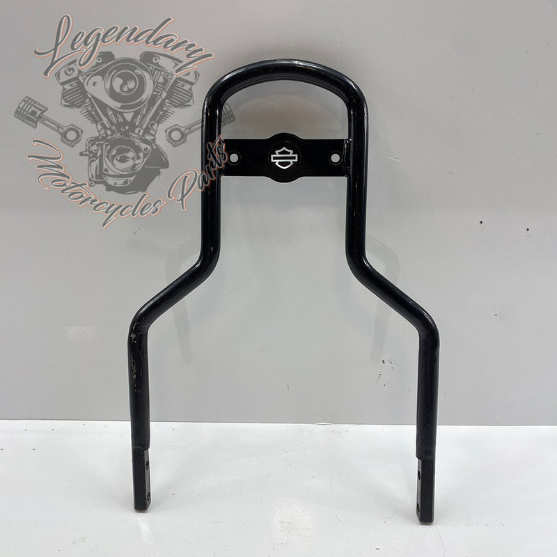 Sissy Bar OEM 52300401