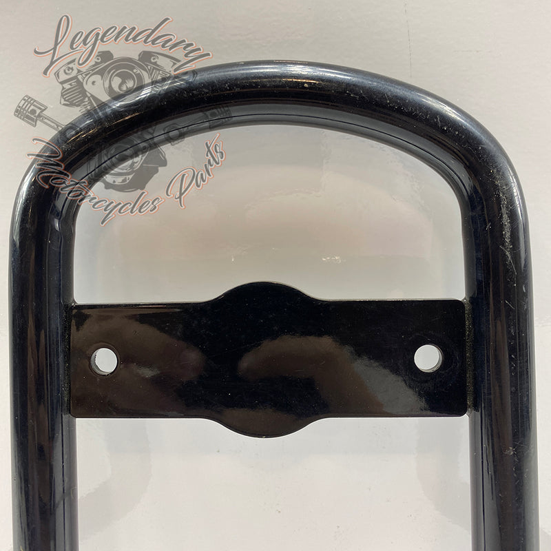 Sissy Bar OEM 52300401