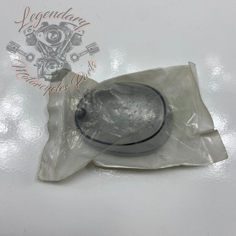 Vidro do pisca traseiro OEM 68966-99Y