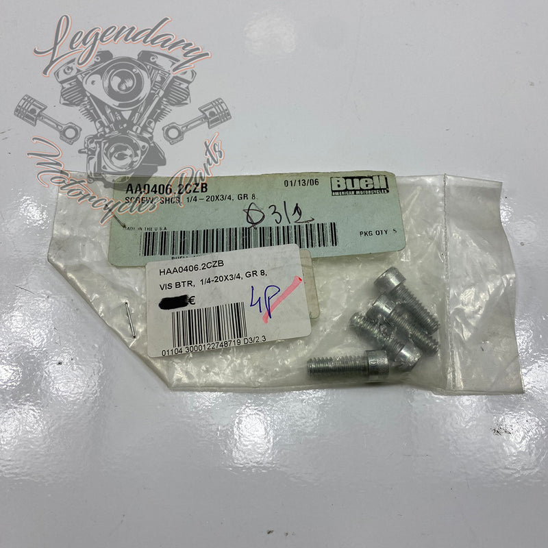 Screw OEM AA0406.2CZB