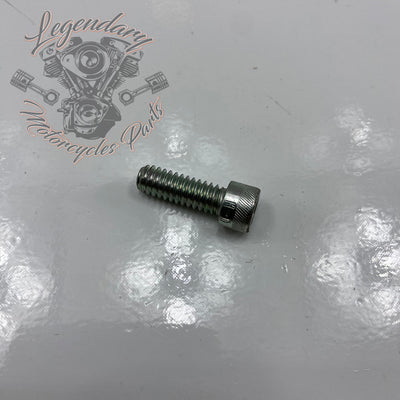 Screw OEM AA0406.2CZB