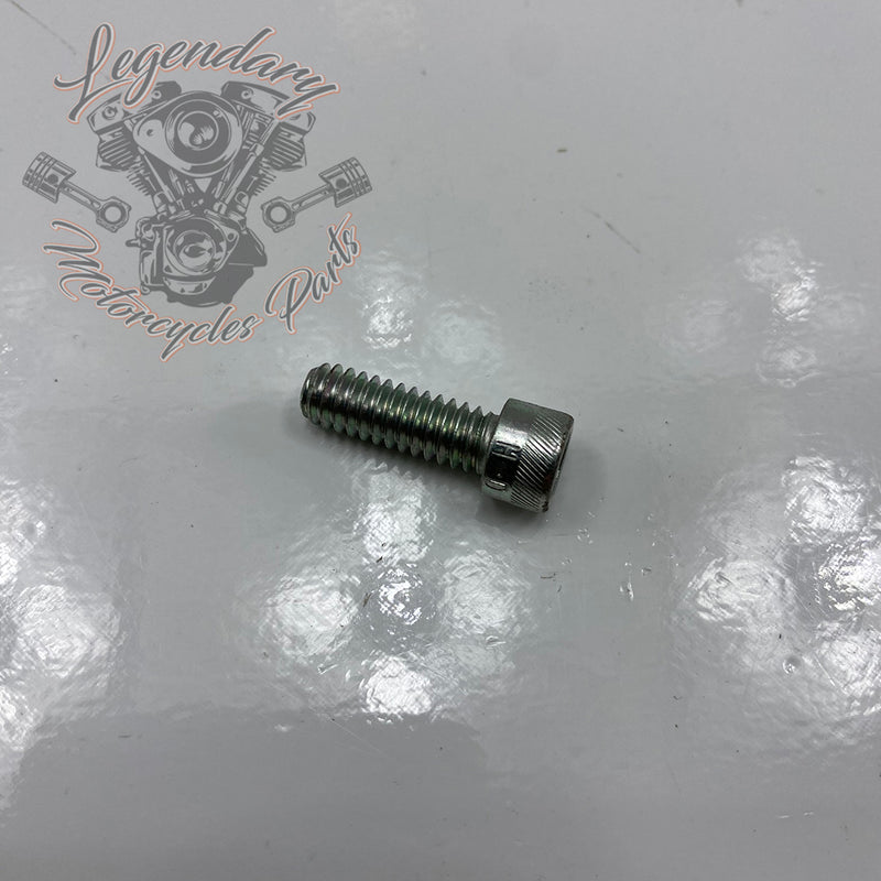 Screw OEM AA0406.2CZB