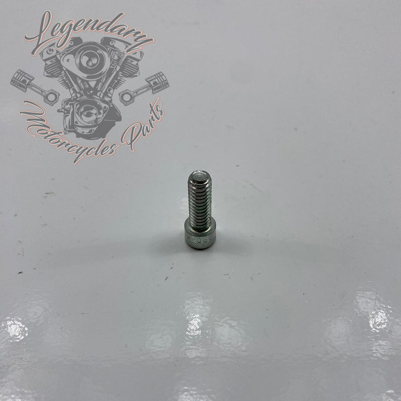 Screw OEM AA0406.2CZB