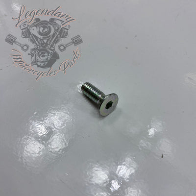 Tornillo de bocina OEM AA0406.5CZB