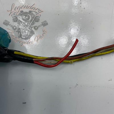 Headlight Wiring Harness OEM 9847