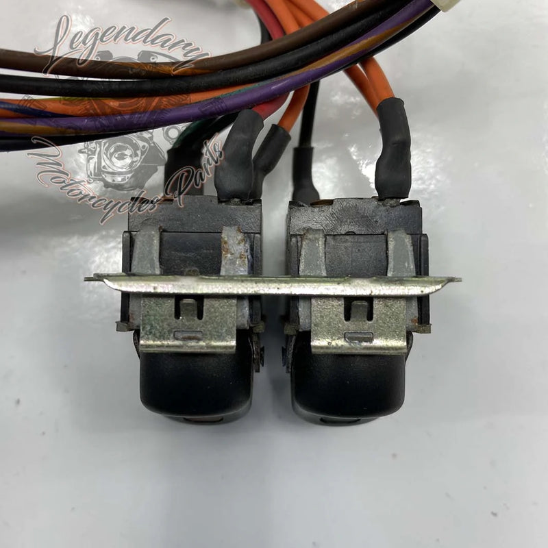 Interruptores y mazos de carenado OEM 70271-98