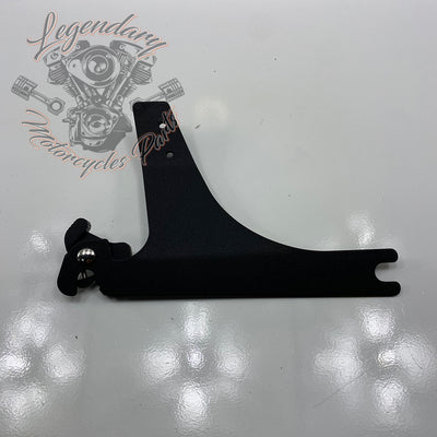 Placas laterales de sissy bar HD desmontables OEM 53834-00A