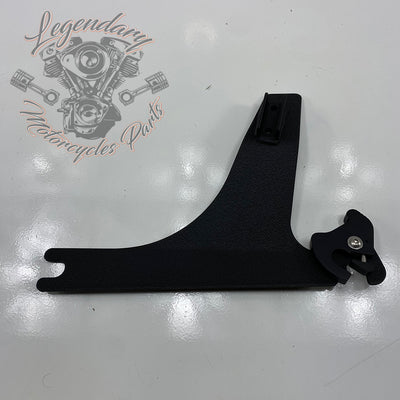 Placas laterales de sissy bar HD desmontables OEM 53834-00A