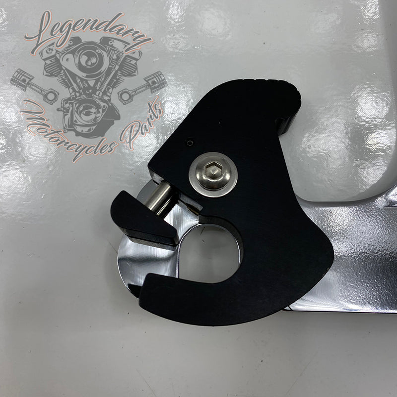 Plaques latérales de sissy bar HD Detachables OEM 53870-01A