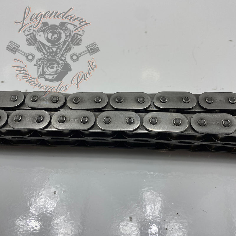 Primary Chain OEM 40036-06