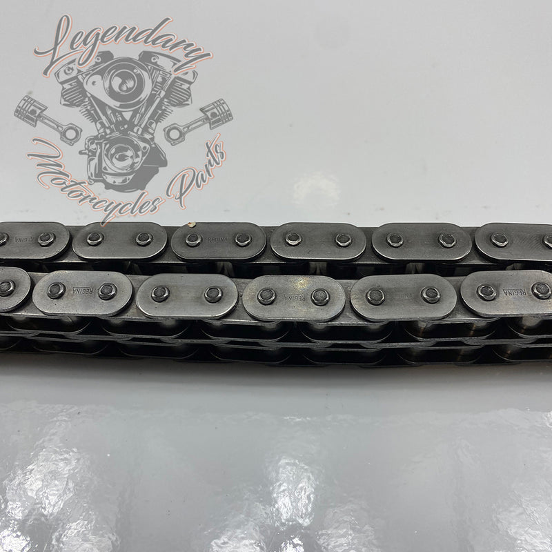 Primary Chain OEM 40036-06