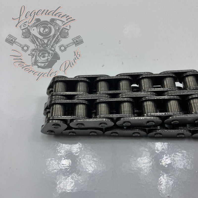 Primary Chain OEM 40036-06