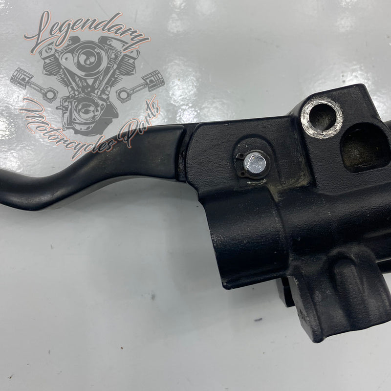 Front Brake Lever and Master Cylinder OEM 42941-10