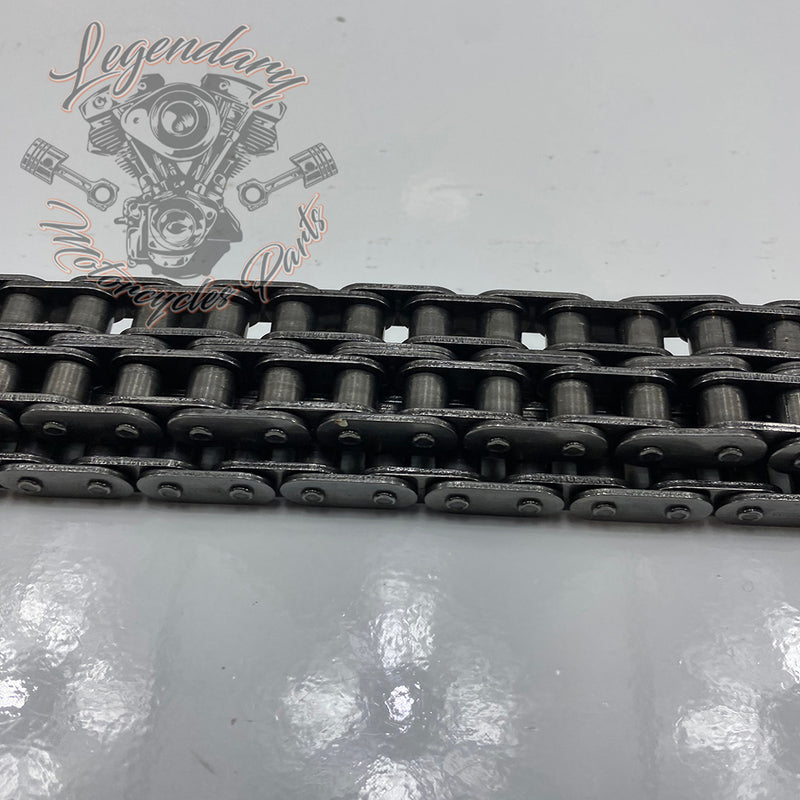 Primary Chain OEM 40036-06