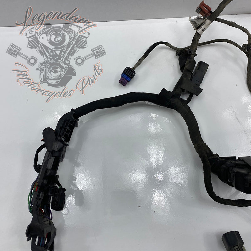 Motorbundel OEM 69202275