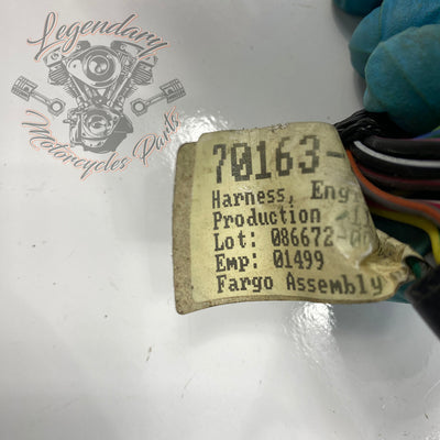 Engine Harness OEM 70163-10