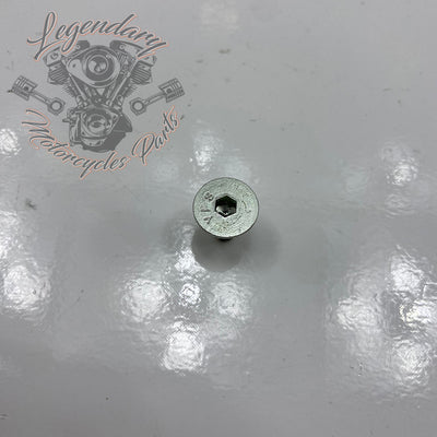 Screws Réf. AA0404.5CZB