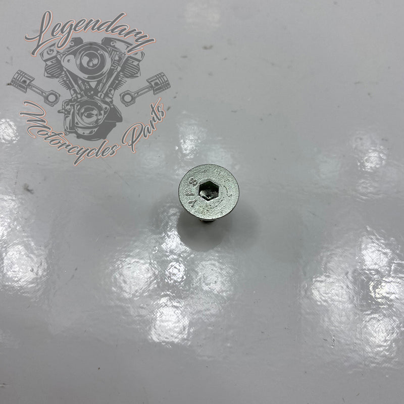 Screws Réf. AA0404.5CZB