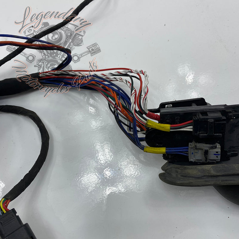 Wire Harness OEM 69201655