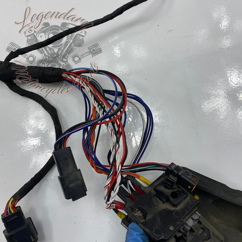 Wire Harness OEM 69201655