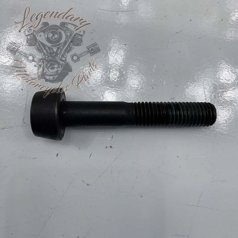 Compensator Screw OEM 10500031