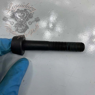 Tornillo de compensación OEM 10500031