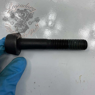 Tornillo de compensación OEM 10500031