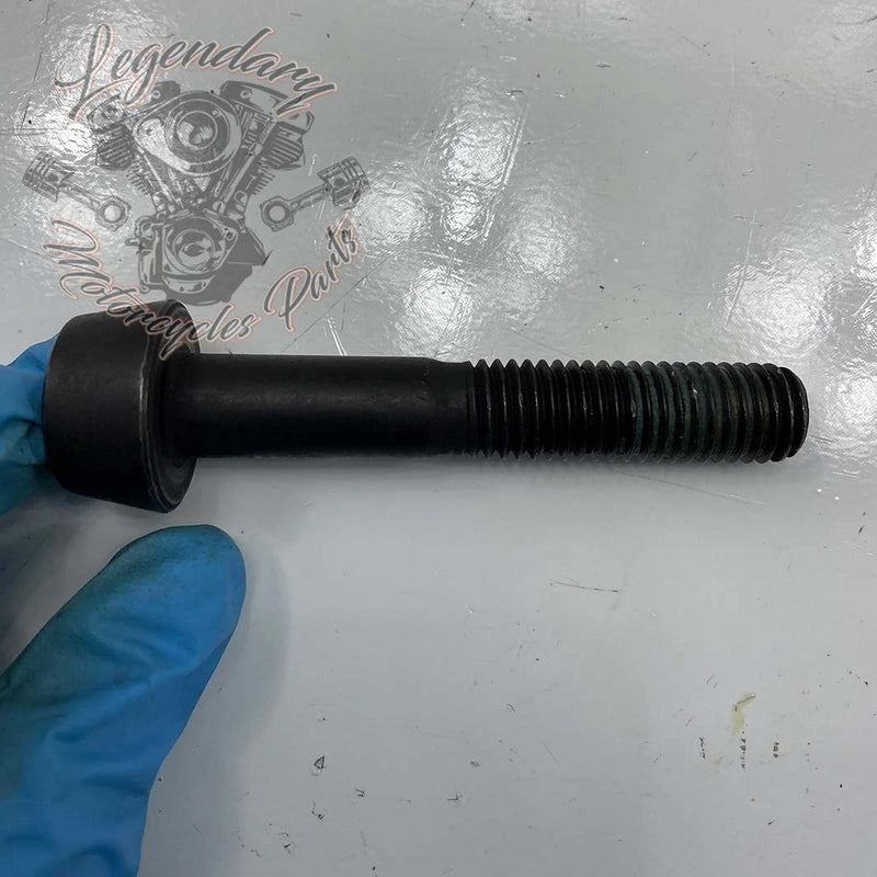 Compensator Screw OEM 10500031