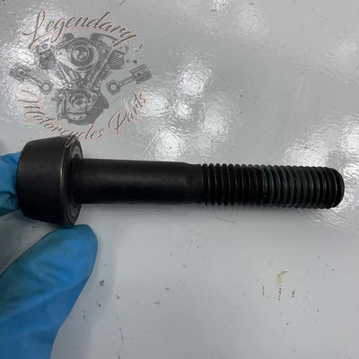 Compensator Screw OEM 10500031