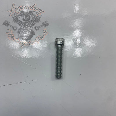 Screw OEM 3601