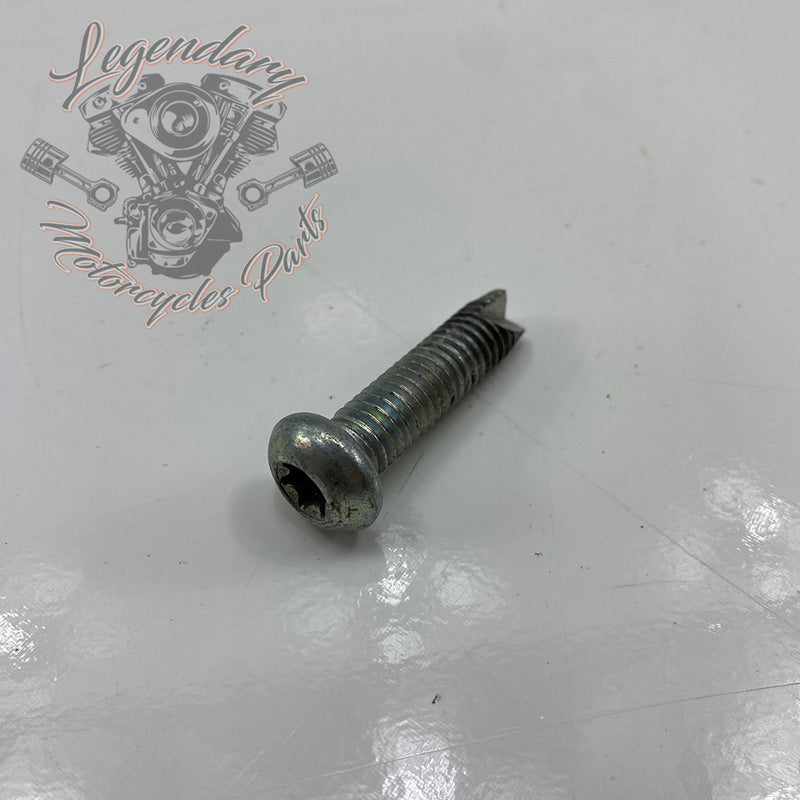 5/16-24 x 5/8 Hex Screw OEM 4391