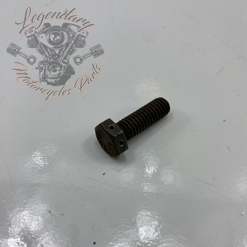 Internal primary case screw OEM 4021