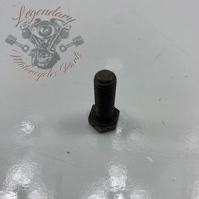 Internal primary case screw OEM 4021