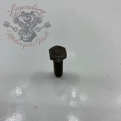 Tornillo de cárter primario interno OEM 4021