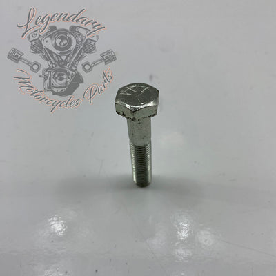 Hexagon Head Screw OEM 4036