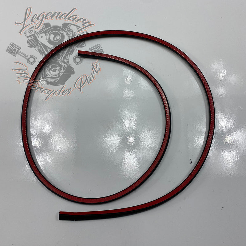 Luggage Lid Gasket OEM 90200415