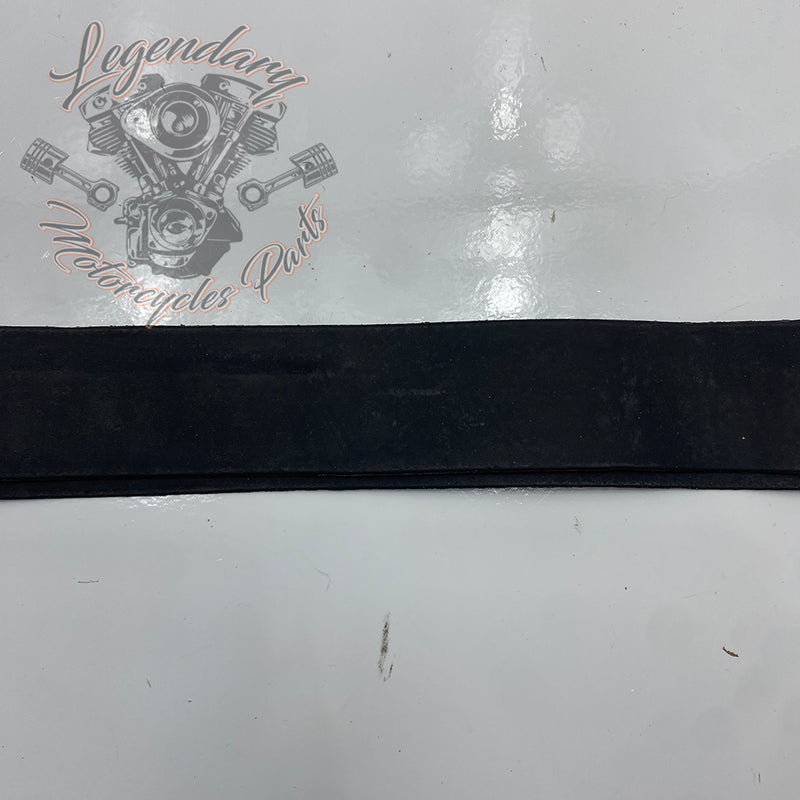 Guarnizione cerchio anteriore 19" OEM 41996-07