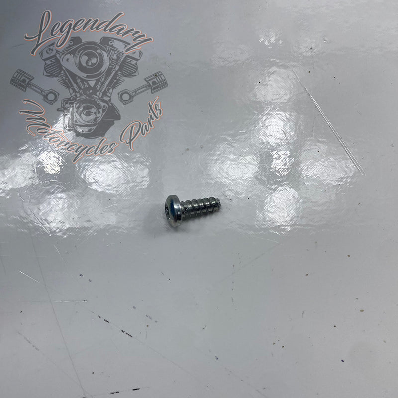 Torx vijak OEM 4991