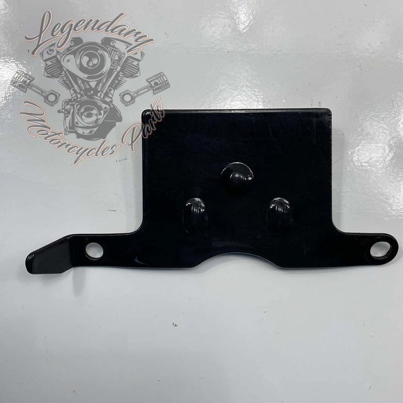 Support et catadioptre de plaque OEM 67900213A