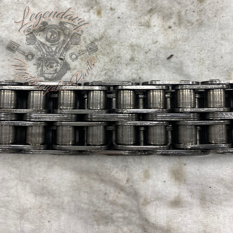 Primary Chain OEM 40036-06