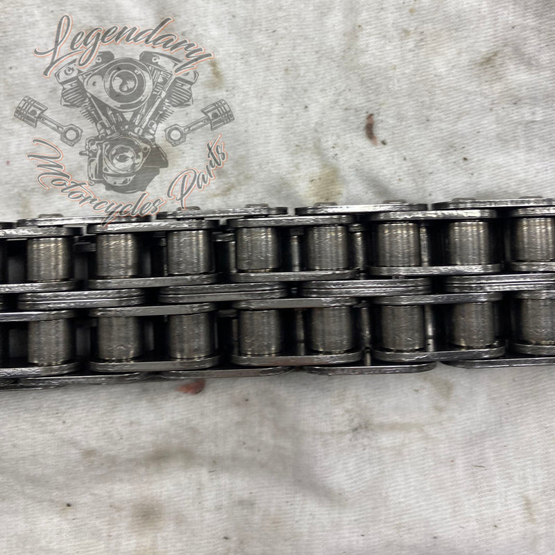 Primary Chain OEM 40036-06