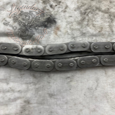 Primary Chain OEM 40036-06