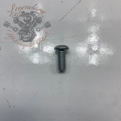 Screw OEM 924