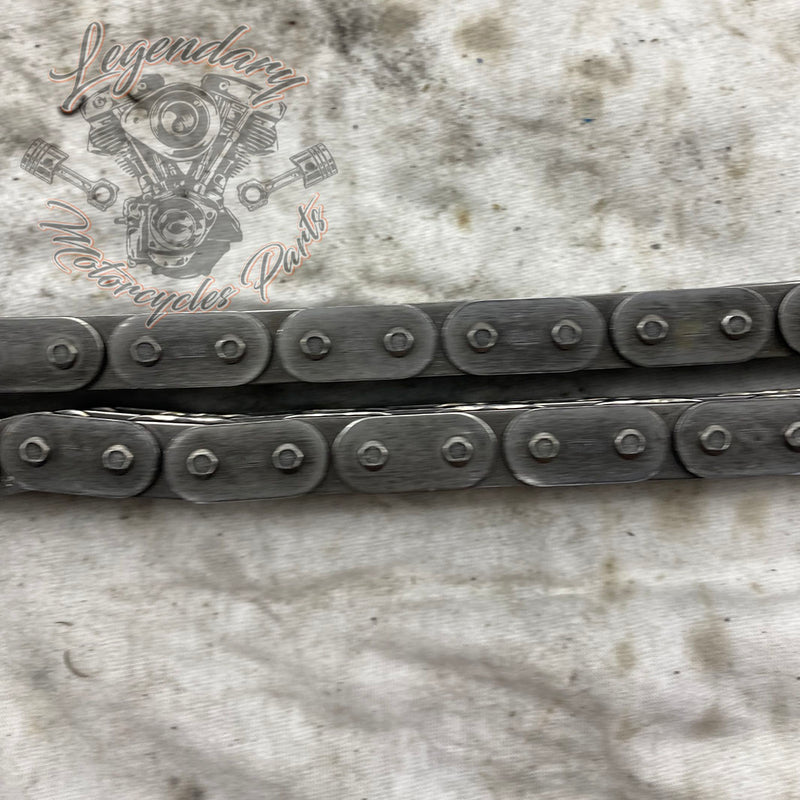 Primary Chain OEM 40036-06